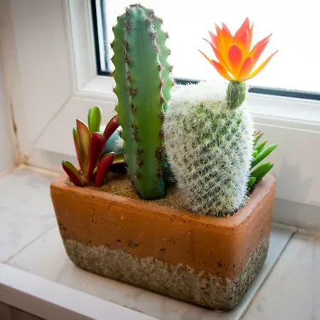 8 - 10 Pax - Centro Soria